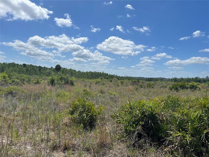 Hwy 40  Dunnellon FL 34430 photo
