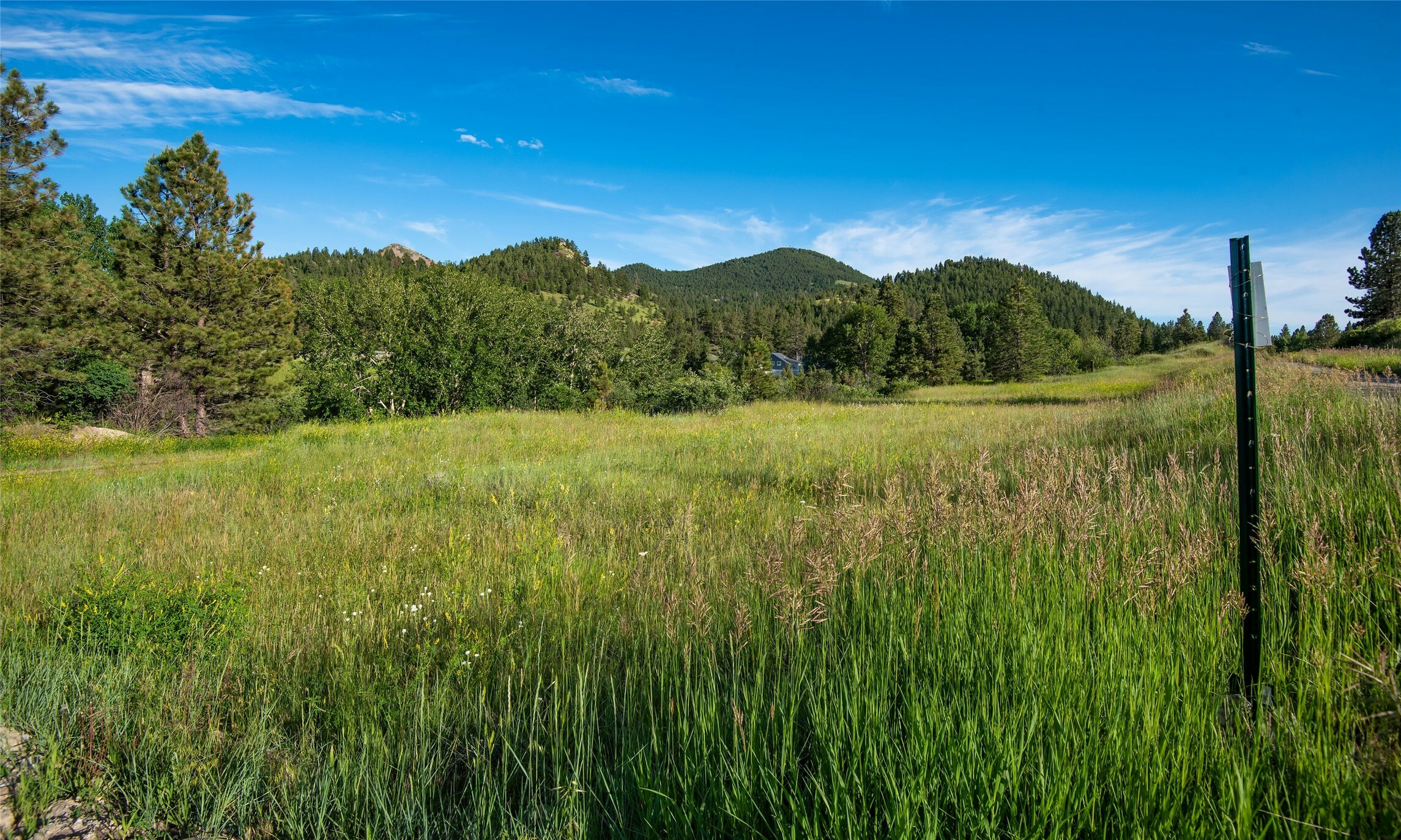 Property Photo:  67 Bitterroot Lane  MT 59634 