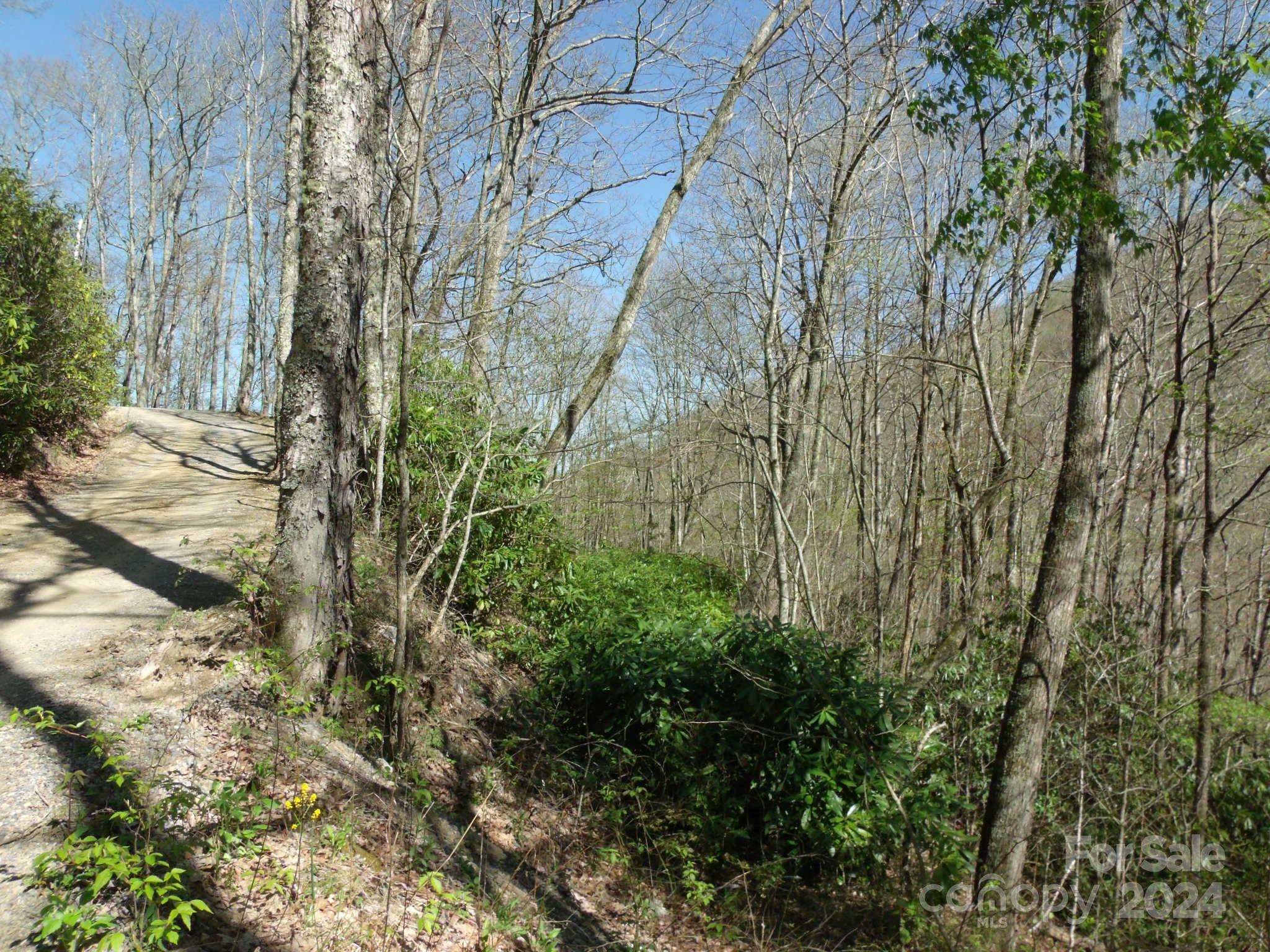 Property Photo:  00 Long Branch Road 19  NC 28751 