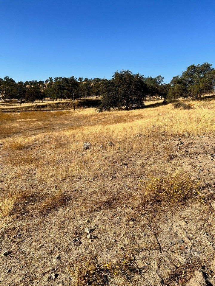 Property Photo:  1 1.25 Ac Sunflower Lane  CA 93645 