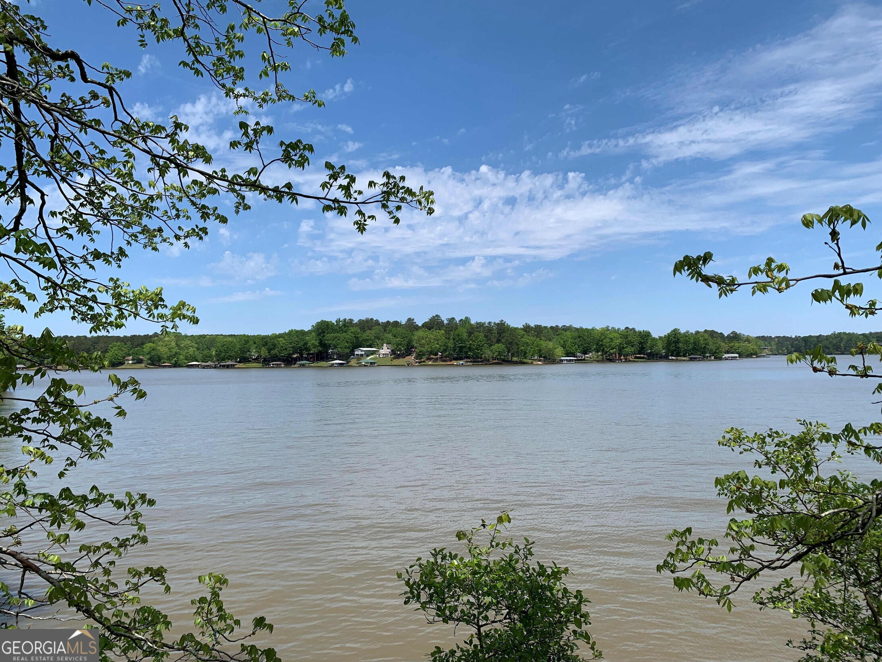 Property Photo: 0 Frontier Drive GA 31087