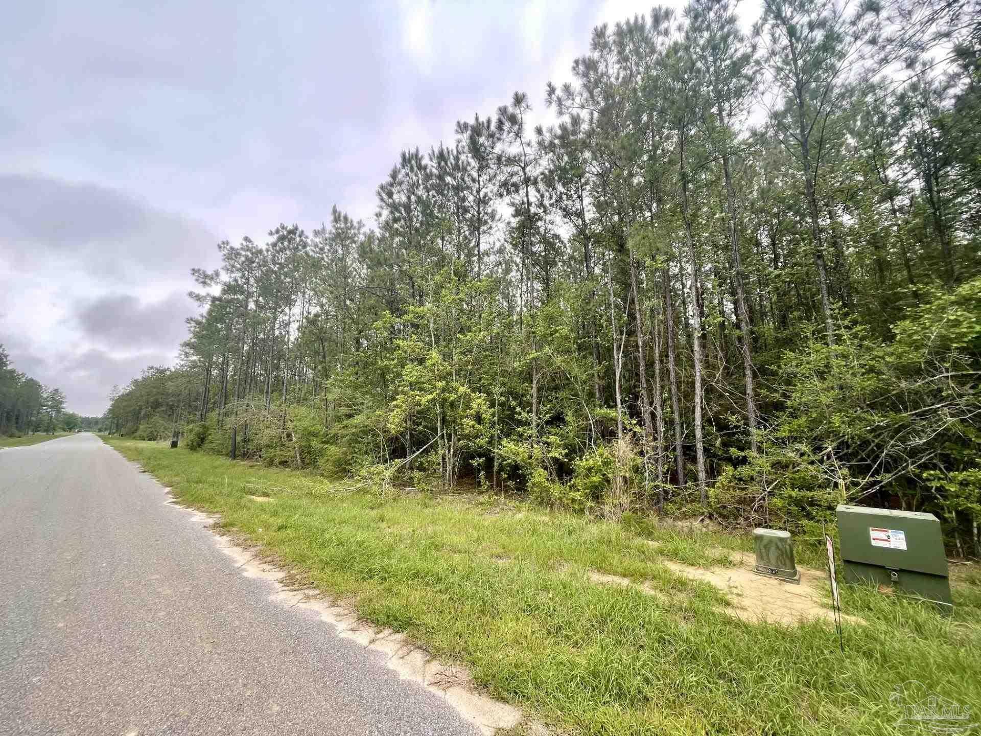 Property Photo:  Lot 25 Steele Meadow Dr  FL 32571 