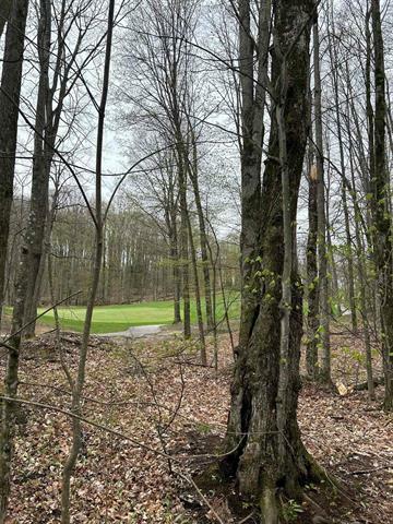 Property Photo:  Lot 46 Creekside Drive  MI 49615 