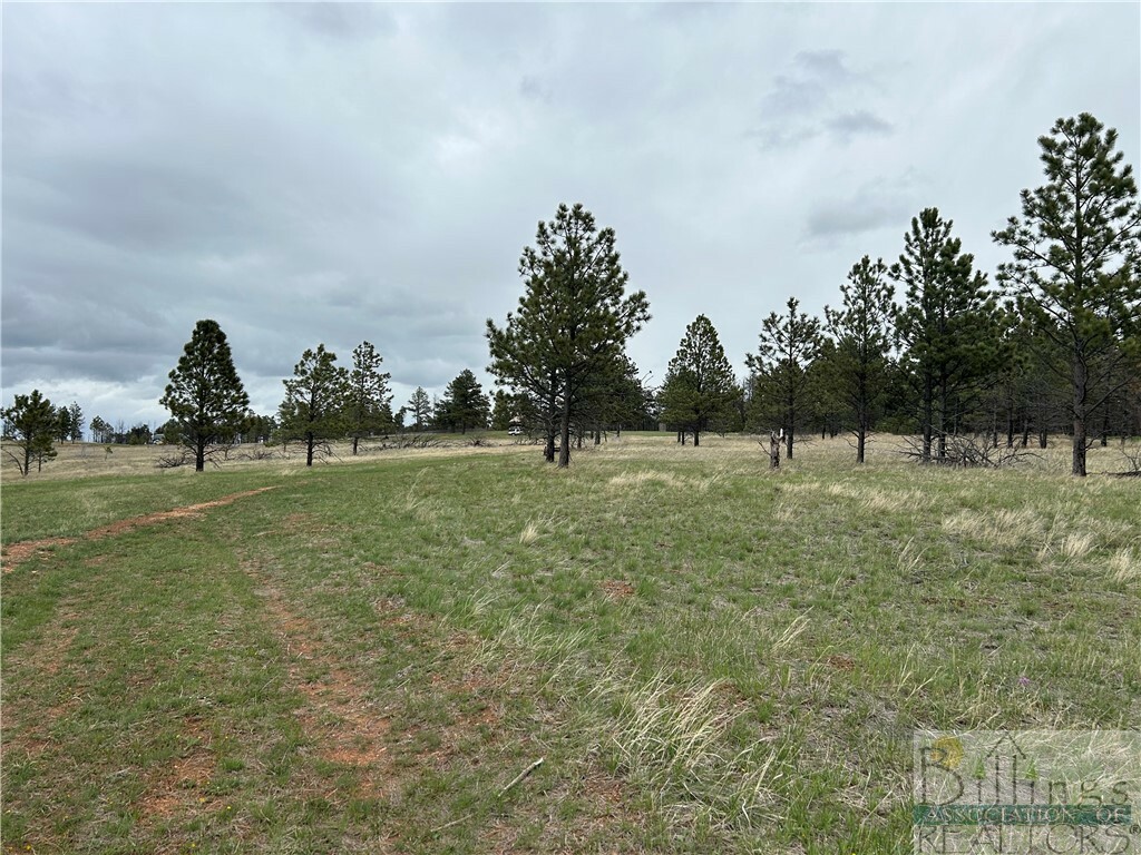 Property Photo:  Tbd Taylor Mesa Lane  MT 59072 