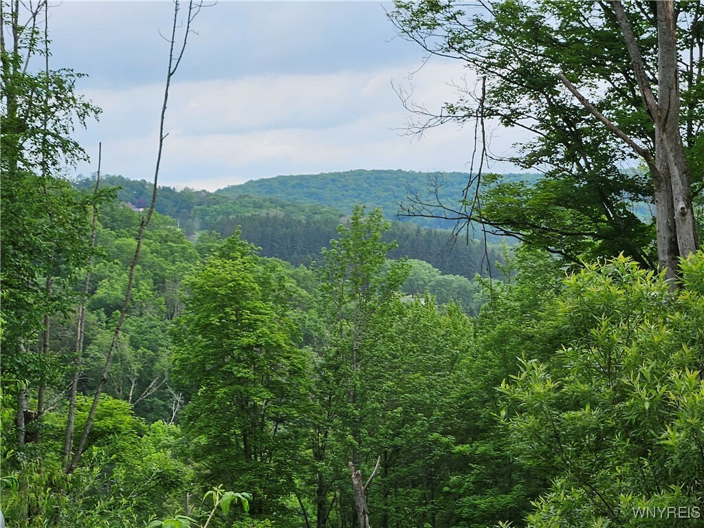 20 Fresh Tracks Way 20  Ellicottville NY 14731 photo