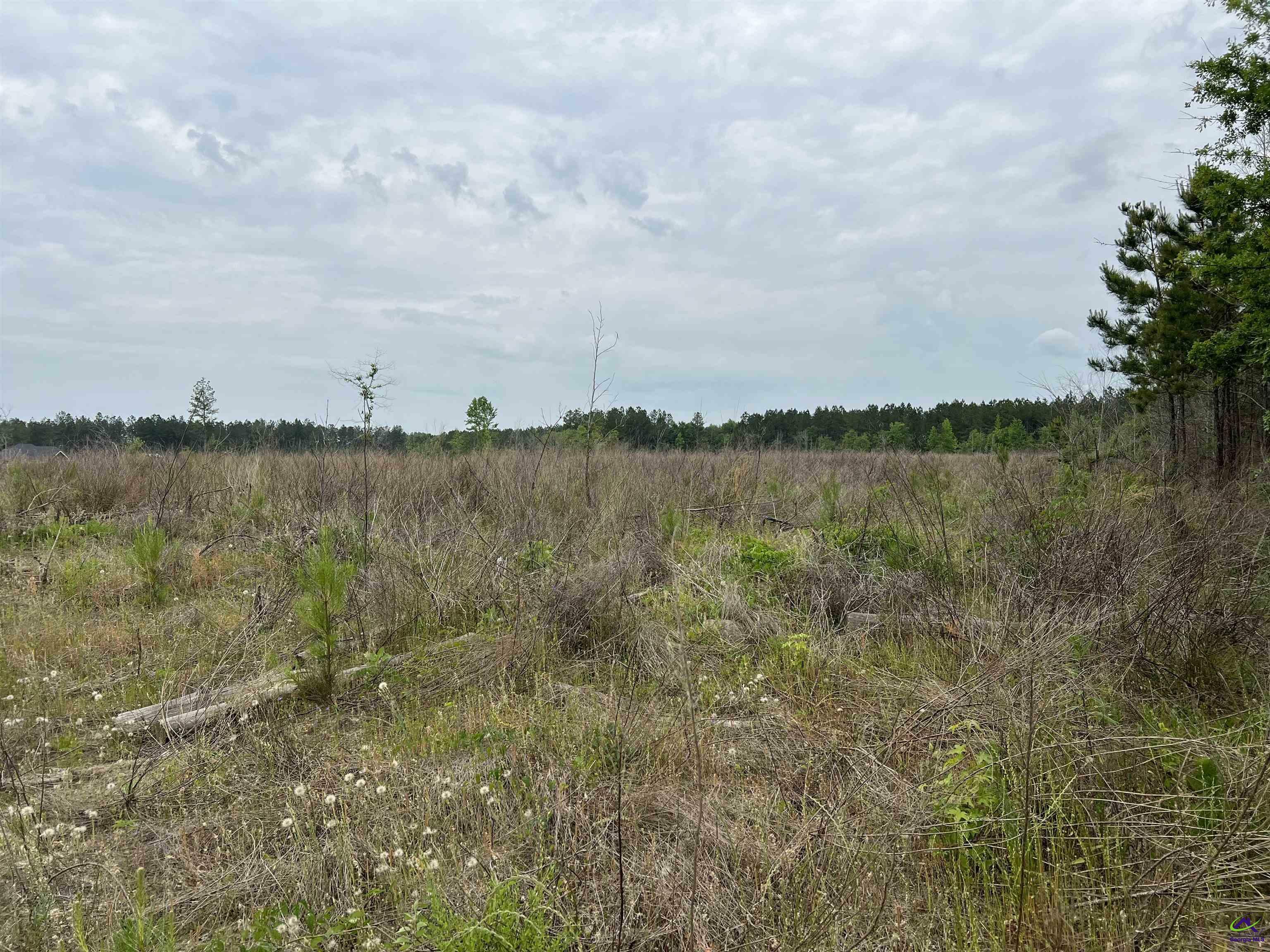 Property Photo:  Lot 1 Longstreet Church Road  GA 31014 