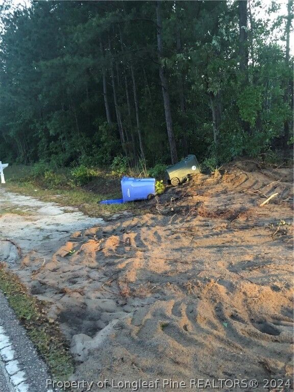 Property Photo: Lot 1 Braddy Road NC 28306