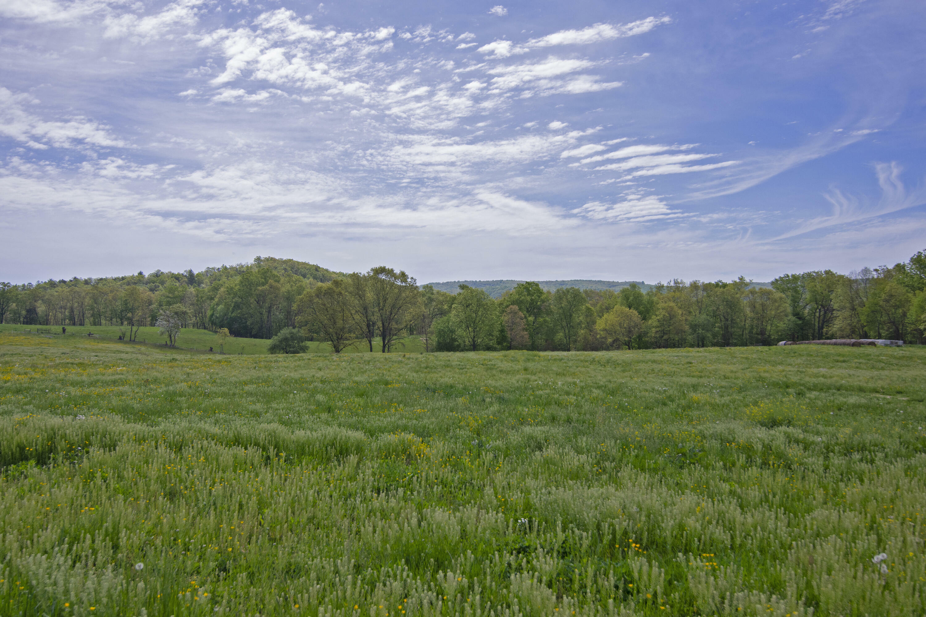 Property Photo:  2569 Anthony Rd  WV 24938 