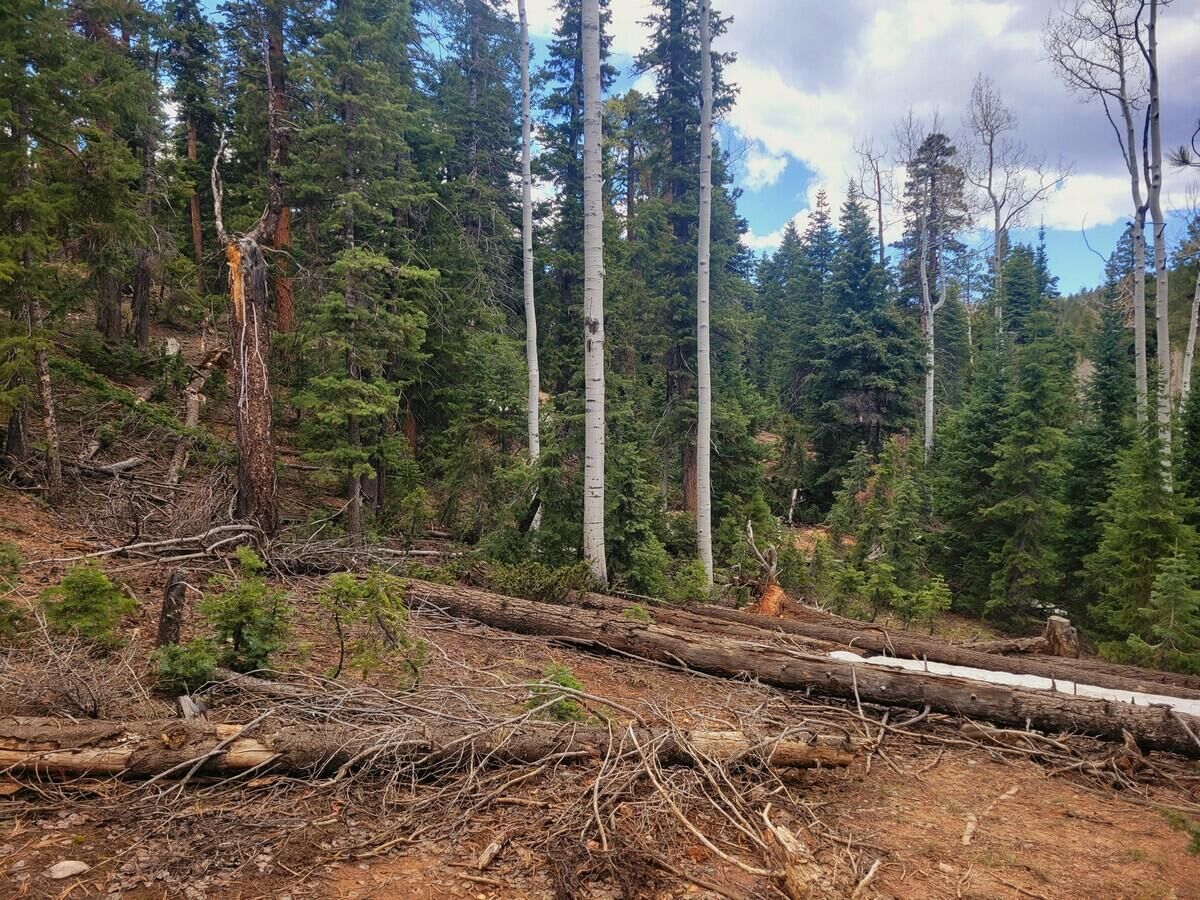 Property Photo: 910 W Cascade Dr C UT 84762