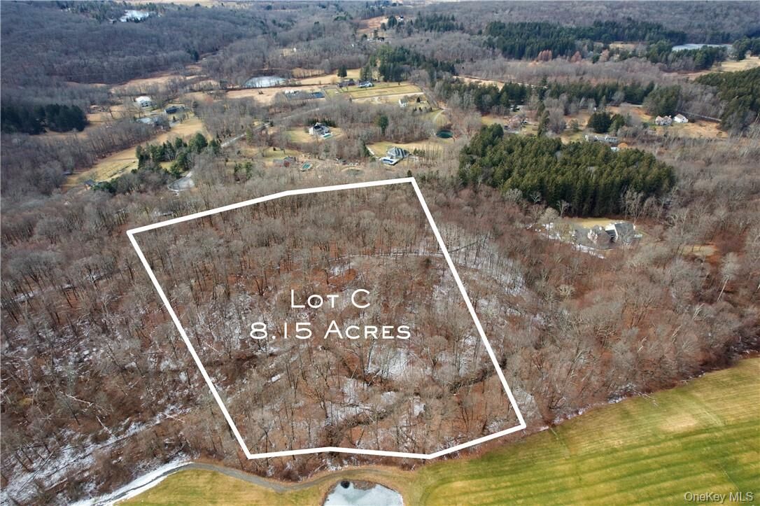 Property Photo:  Lot C Oblong Lane  NY 12564 