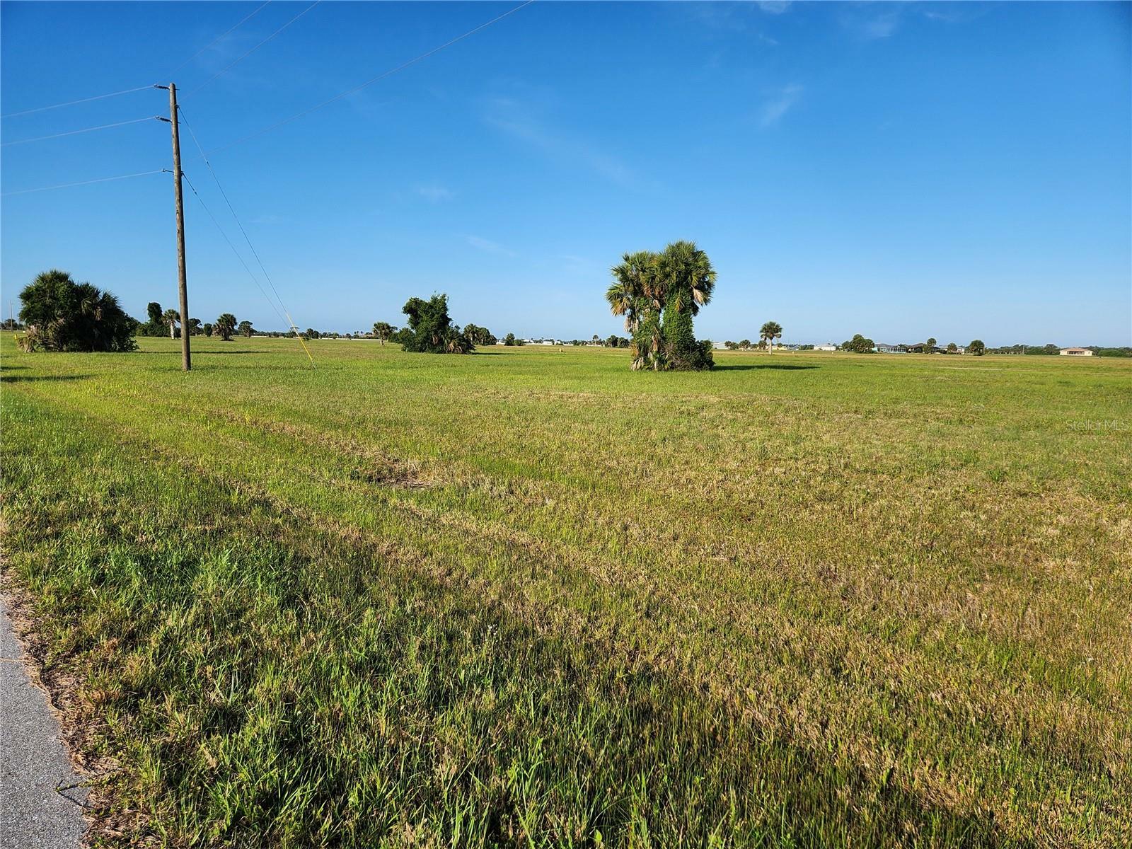Property Photo:  99 Willow Road  FL 33946 