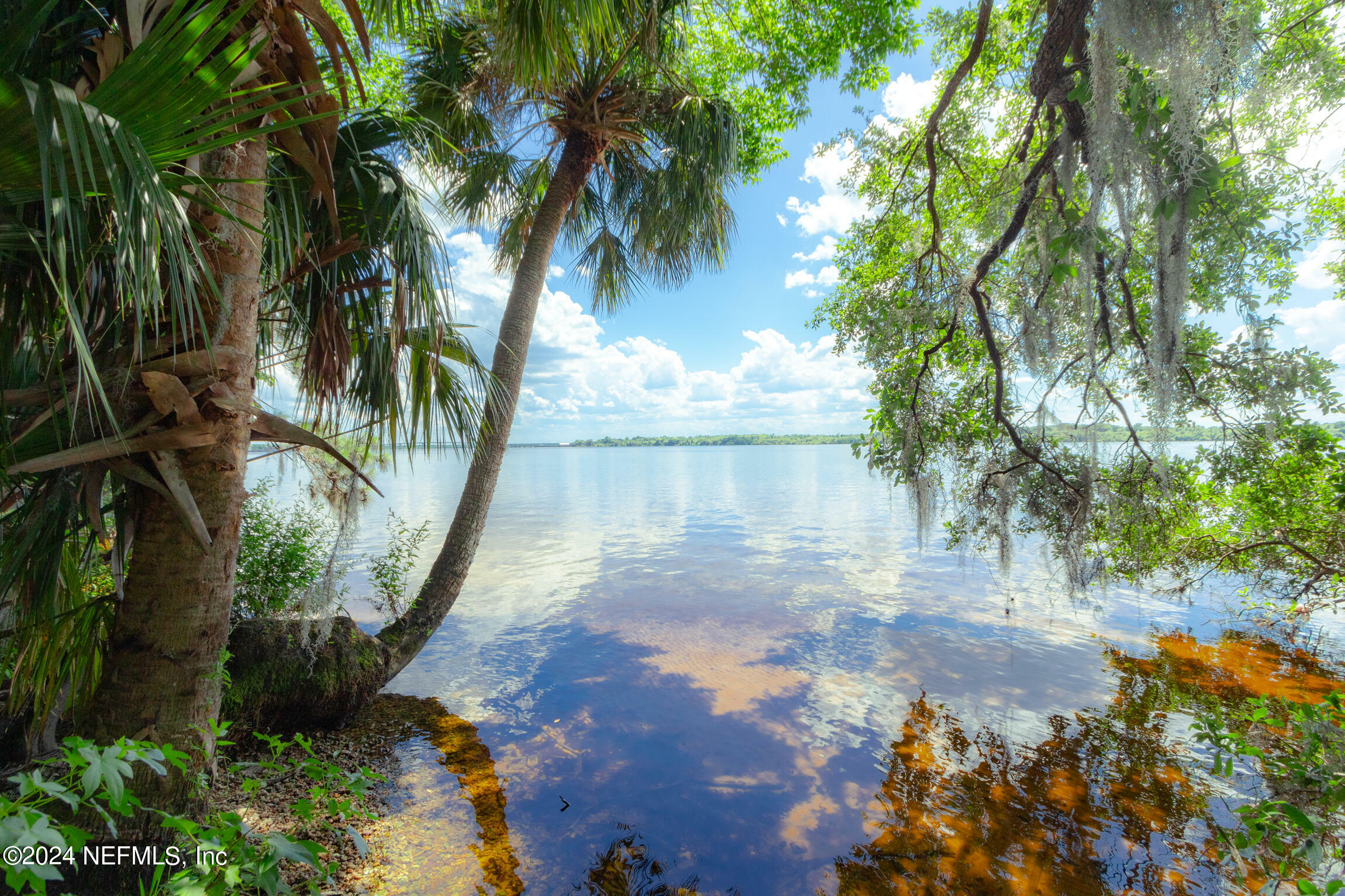 Property Photo:  229 E River Road  FL 32131 