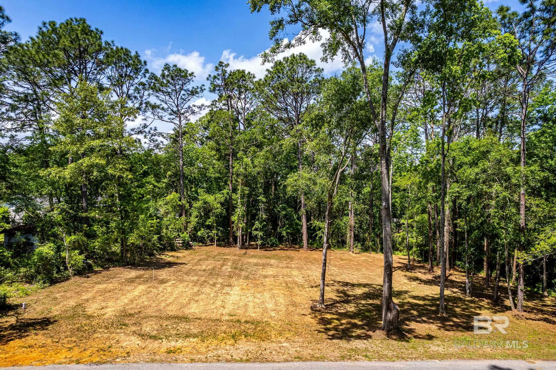 Property Photo:  0 Forest Park Avenue  AL 36507 