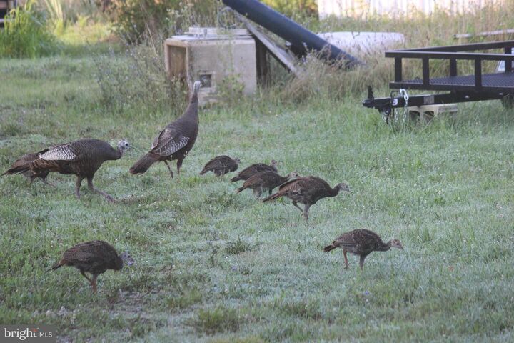 Property Photo: Sparks Mill Corner - E&W Sparks Mill At Route 213 Road MD 21617