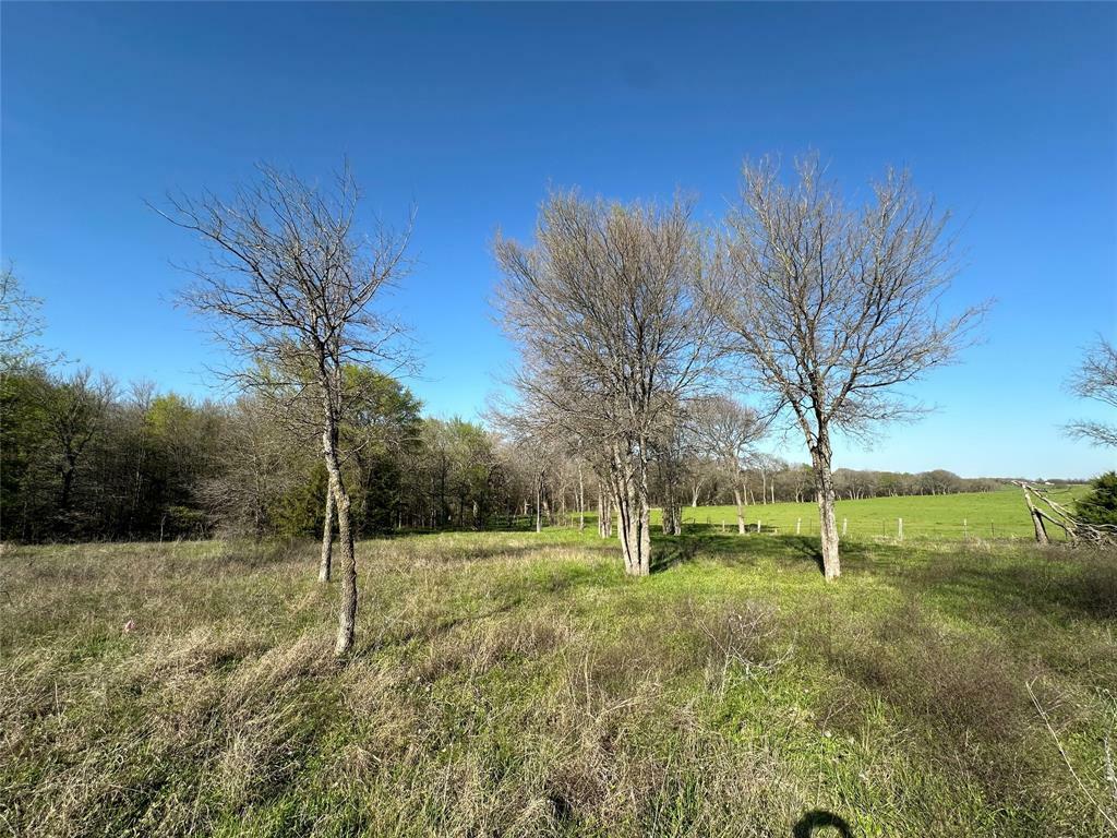 Property Photo:  1 Scenic Drive  TX 75453 