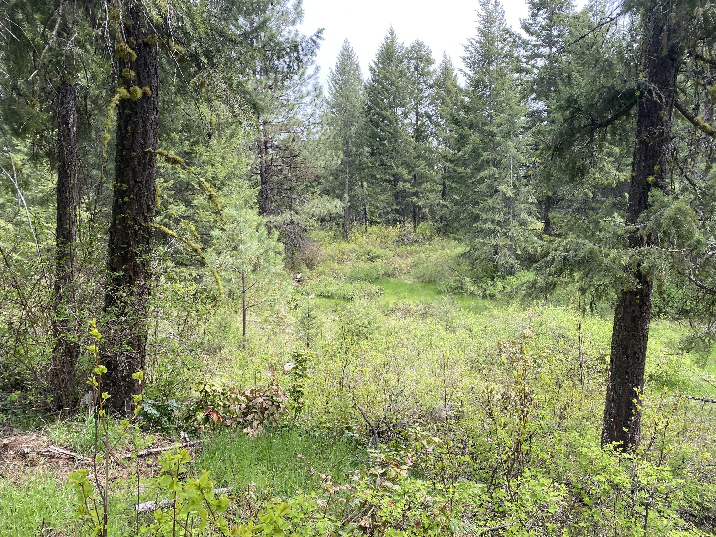 Property Photo:  345X Lael Road  WA 99141 