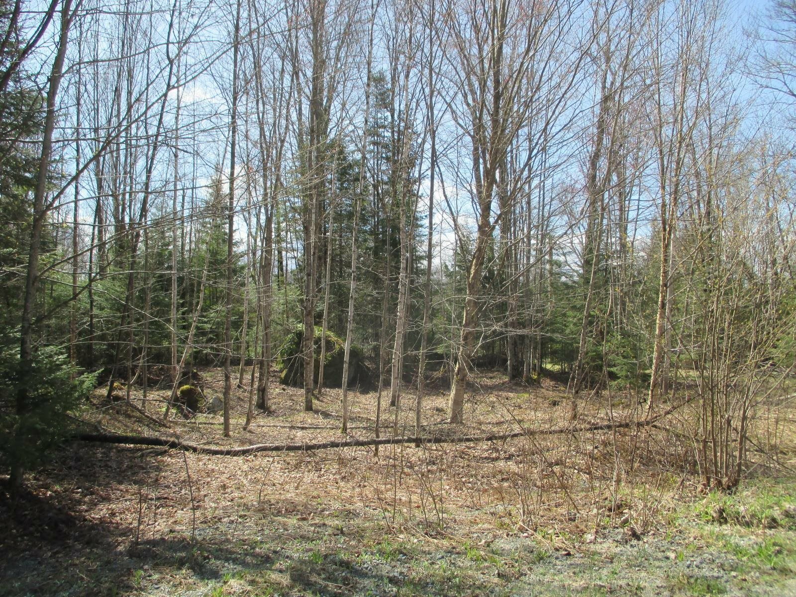 Property Photo:  89 Mirror Lake Estates Drive  NH 03598 