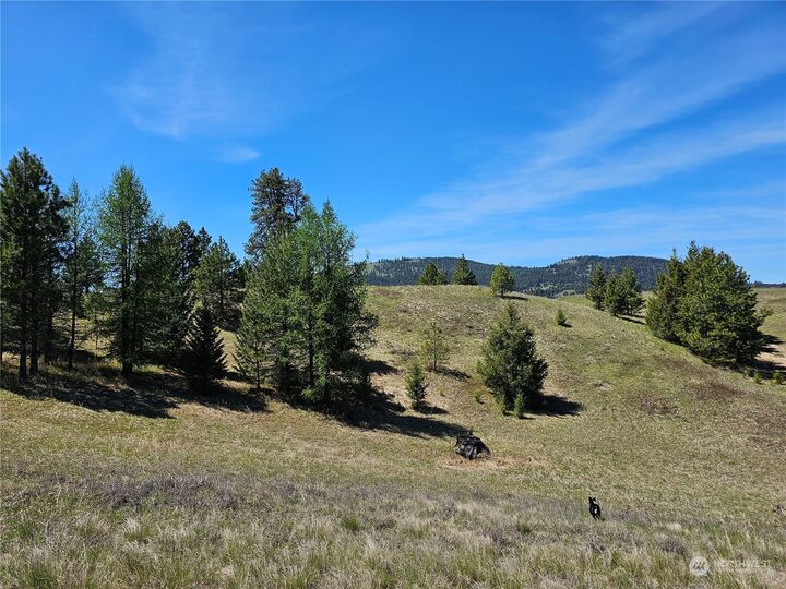 Property Photo:  23 Xx  Chesaw Road  WA 98844 