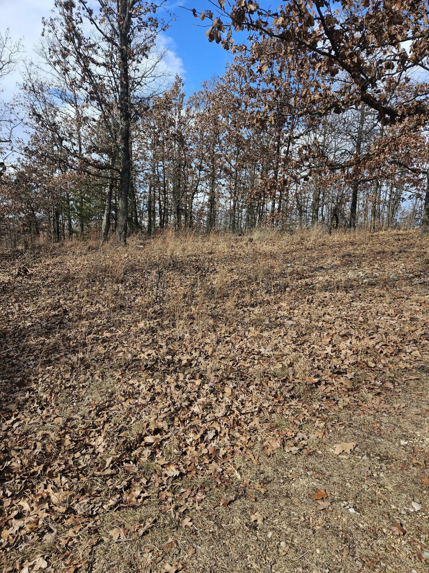 Property Photo:  79.30 Acre Styles Road  MO 64854 