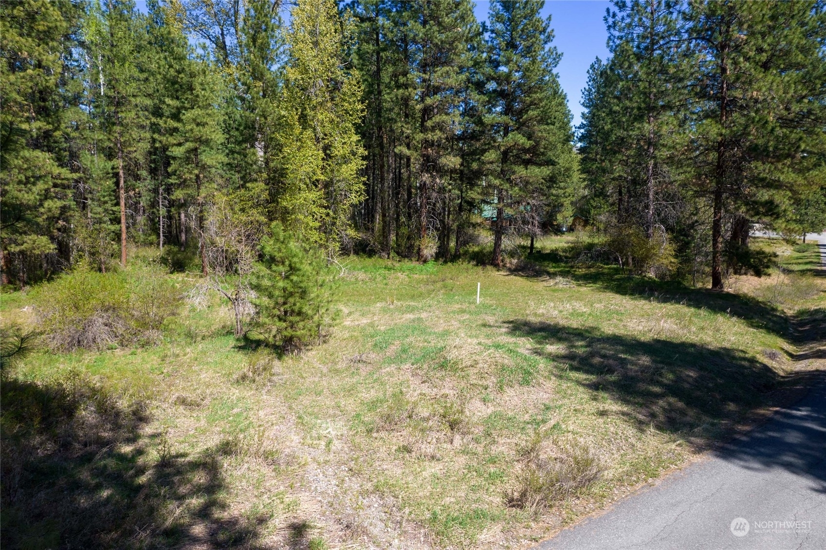 Property Photo:  19 Green Road  WA 98862 