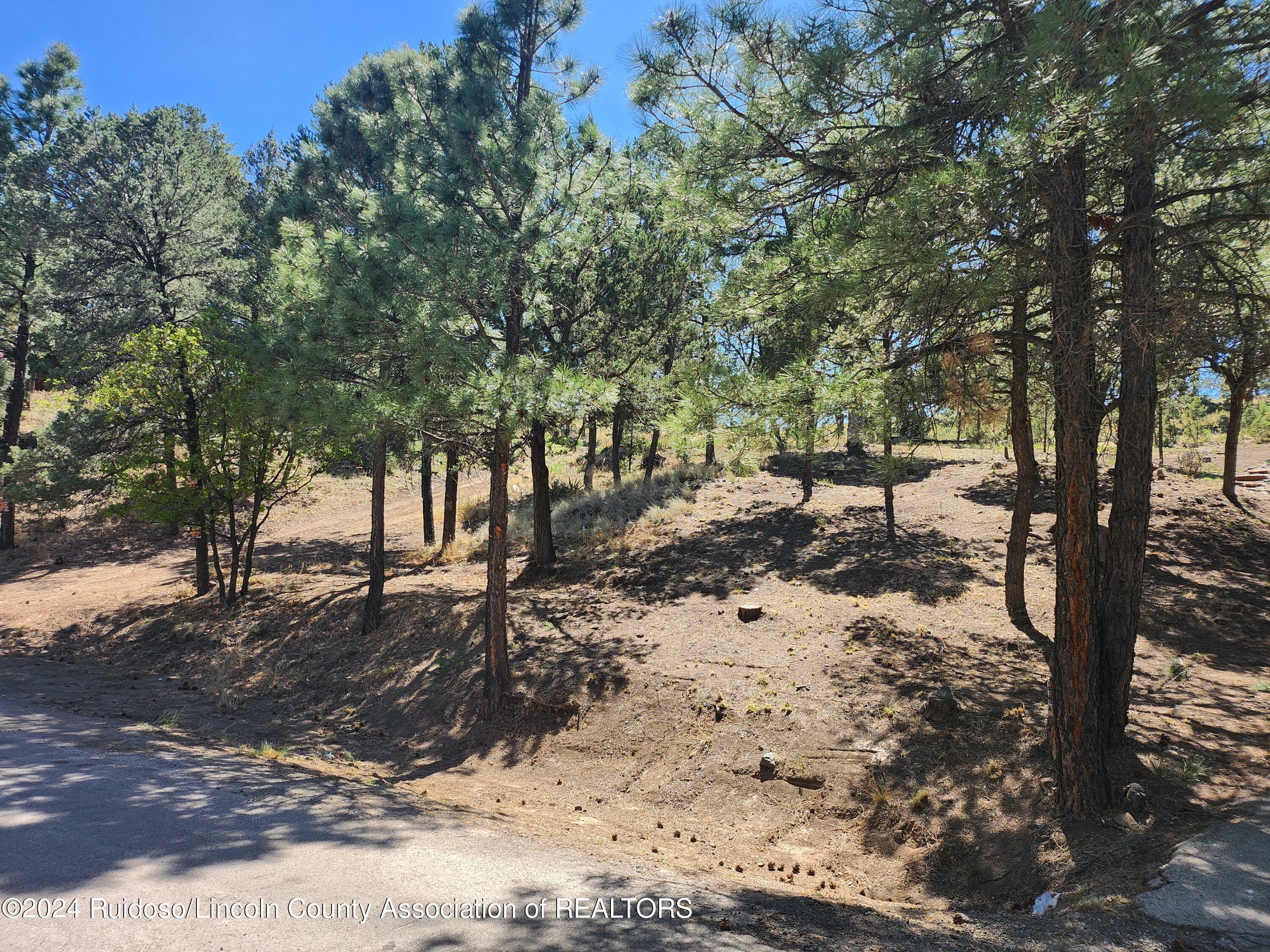 Property Photo:  104 Catron Road  NM 88345 