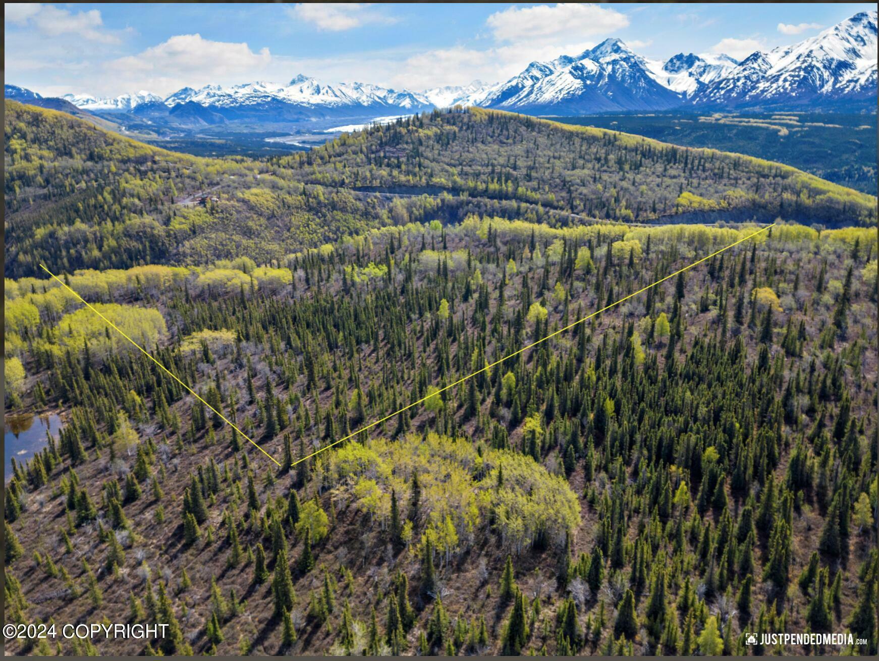 Property Photo:  B005 Pinochle Creek Road  AK 99674 