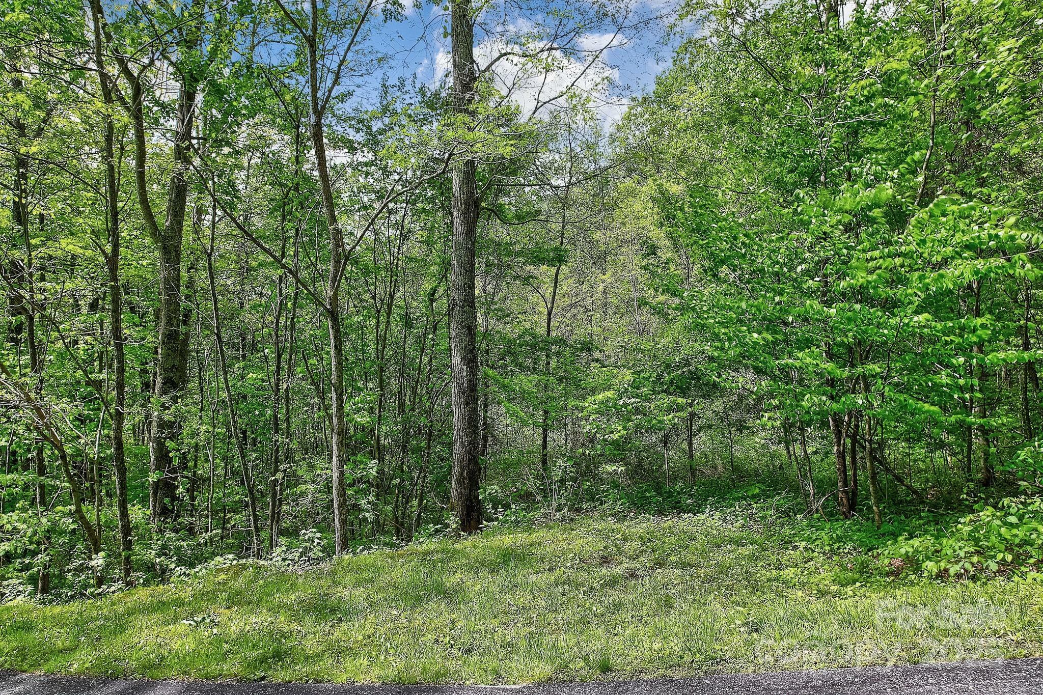 Property Photo:  Lot 119 Davey Crockett Drive  NC 28751 