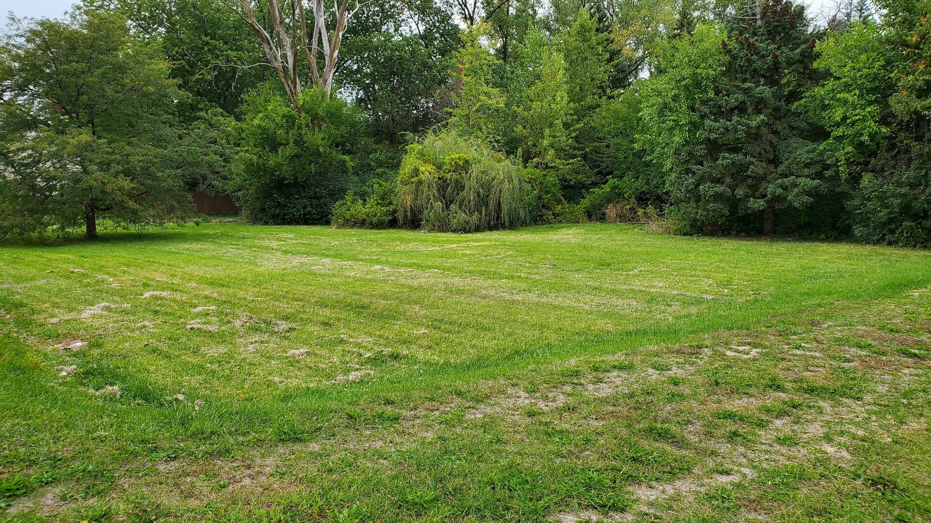 Property Photo:  218 E Briarcliff Road  IL 60440 