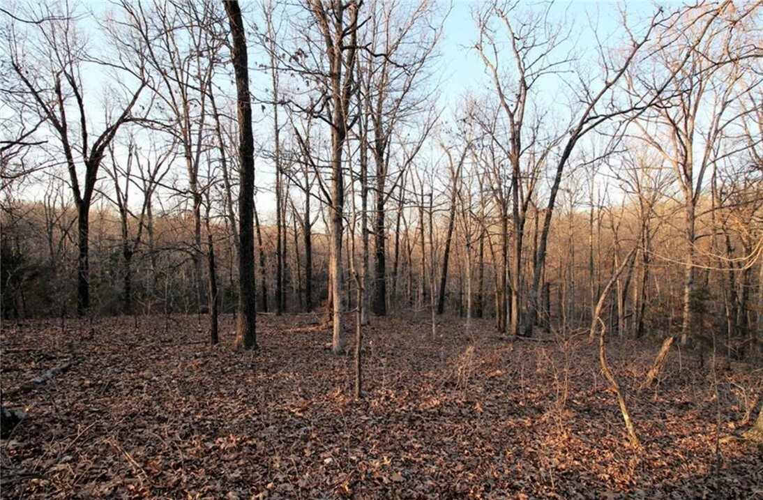 Tbd County Road 645  Green Forest AR 72638 photo