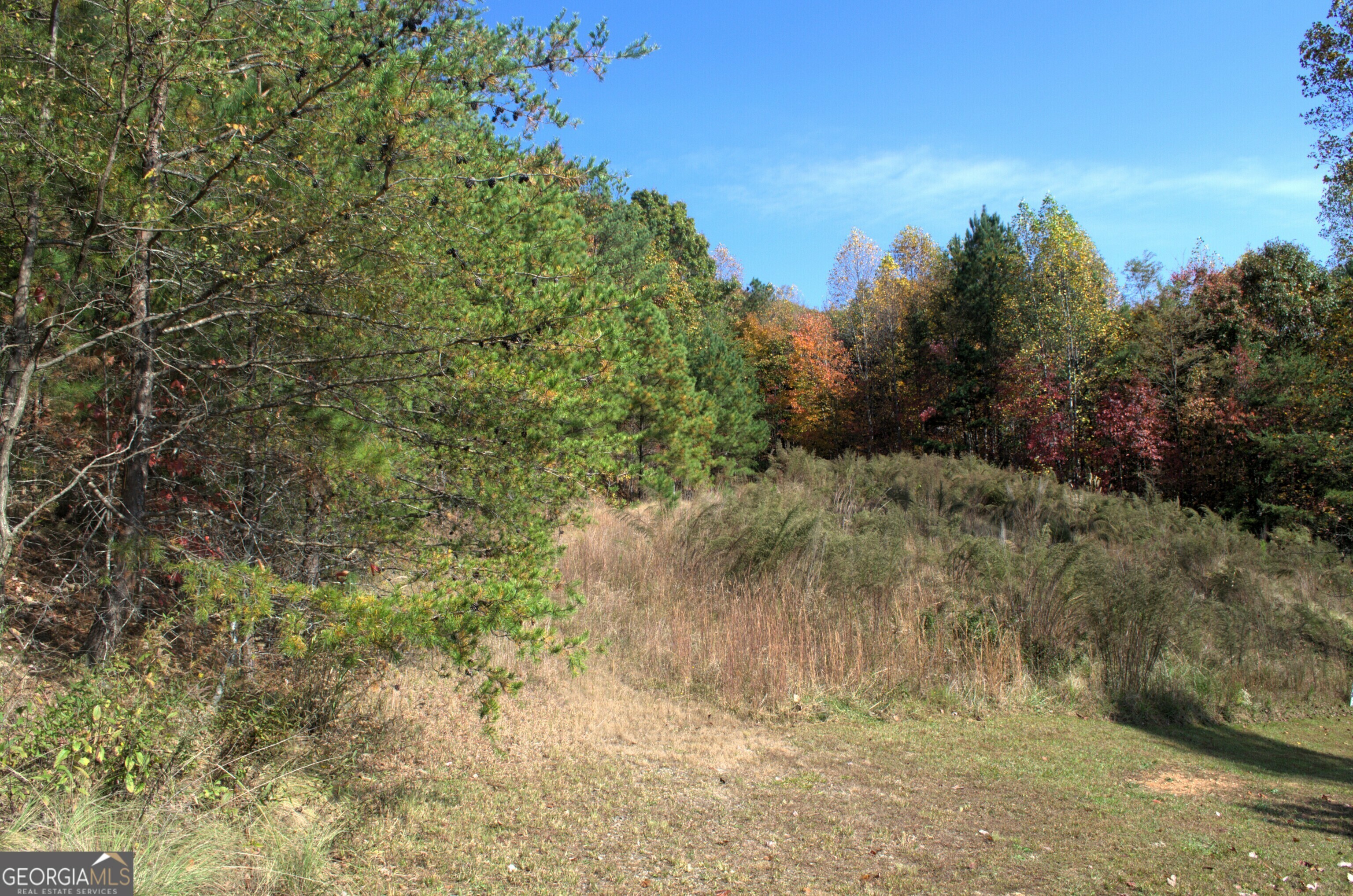 Property Photo:  Lot 16 Summit Trail 16  GA 30512 