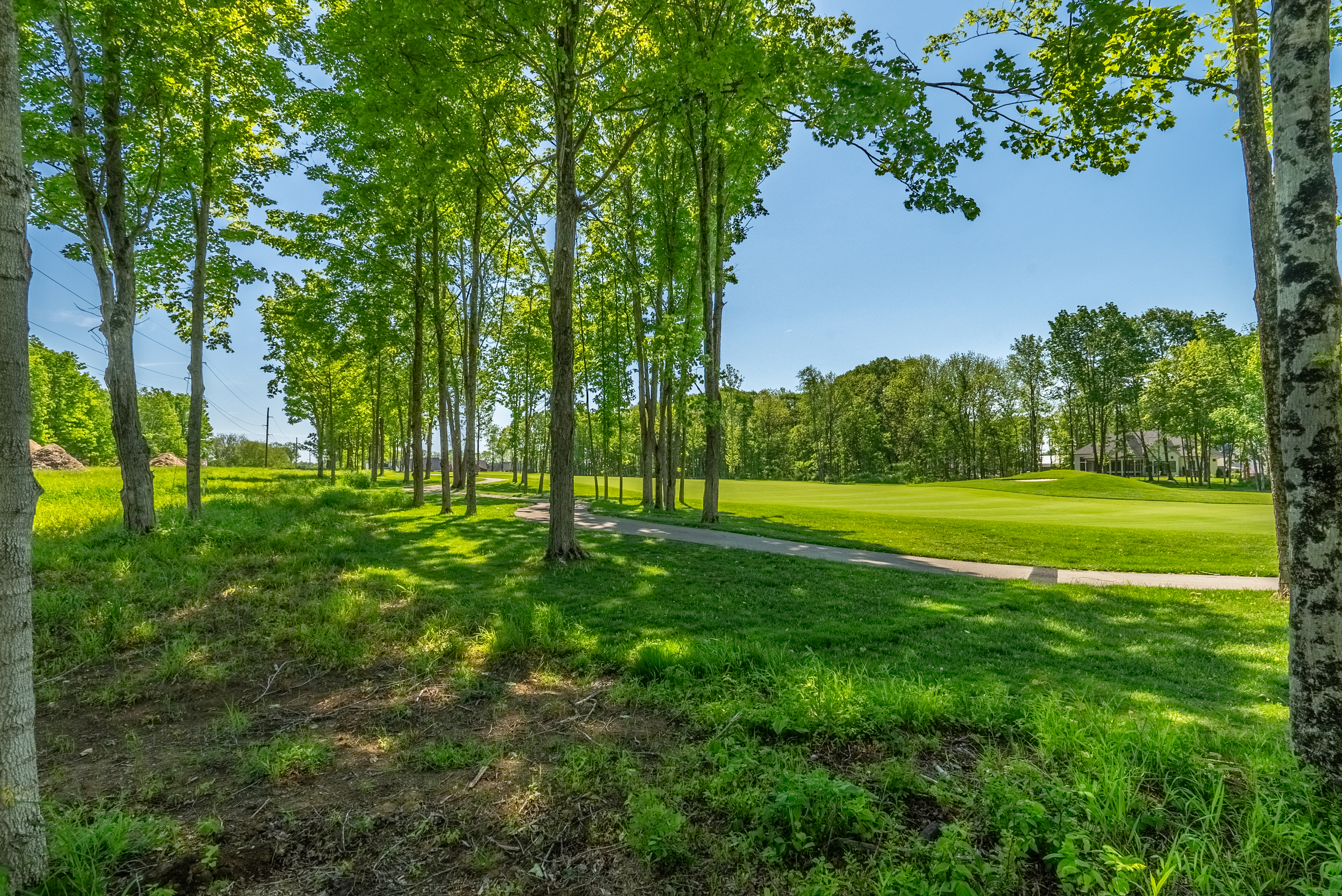 Property Photo: 10439 Dartmoor Way IN 46077