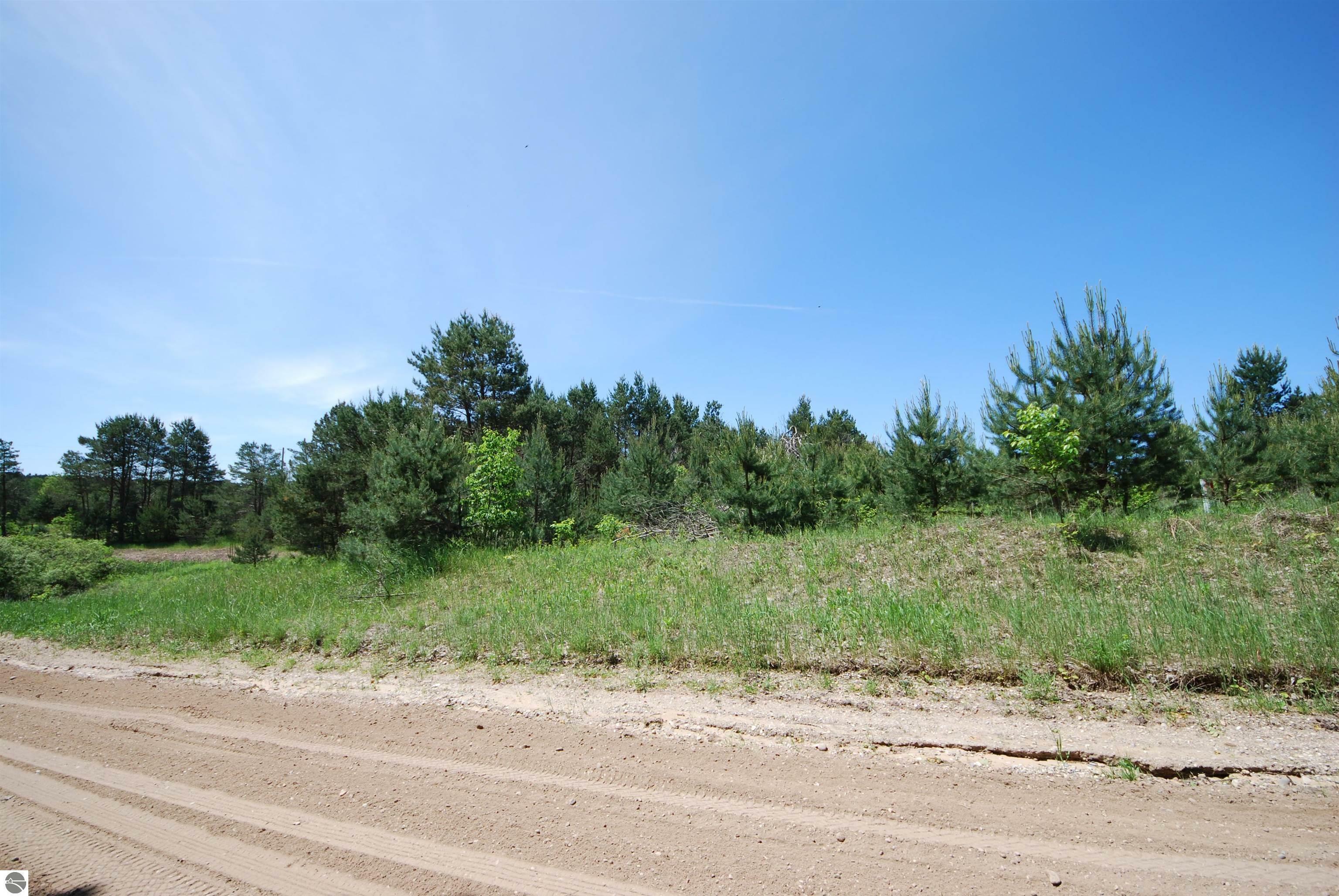 Property Photo:  SE Riley Road Parcel #4  MI 49646 