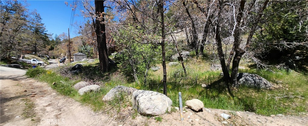 Property Photo:  0 Deer Lane  CA 92382 