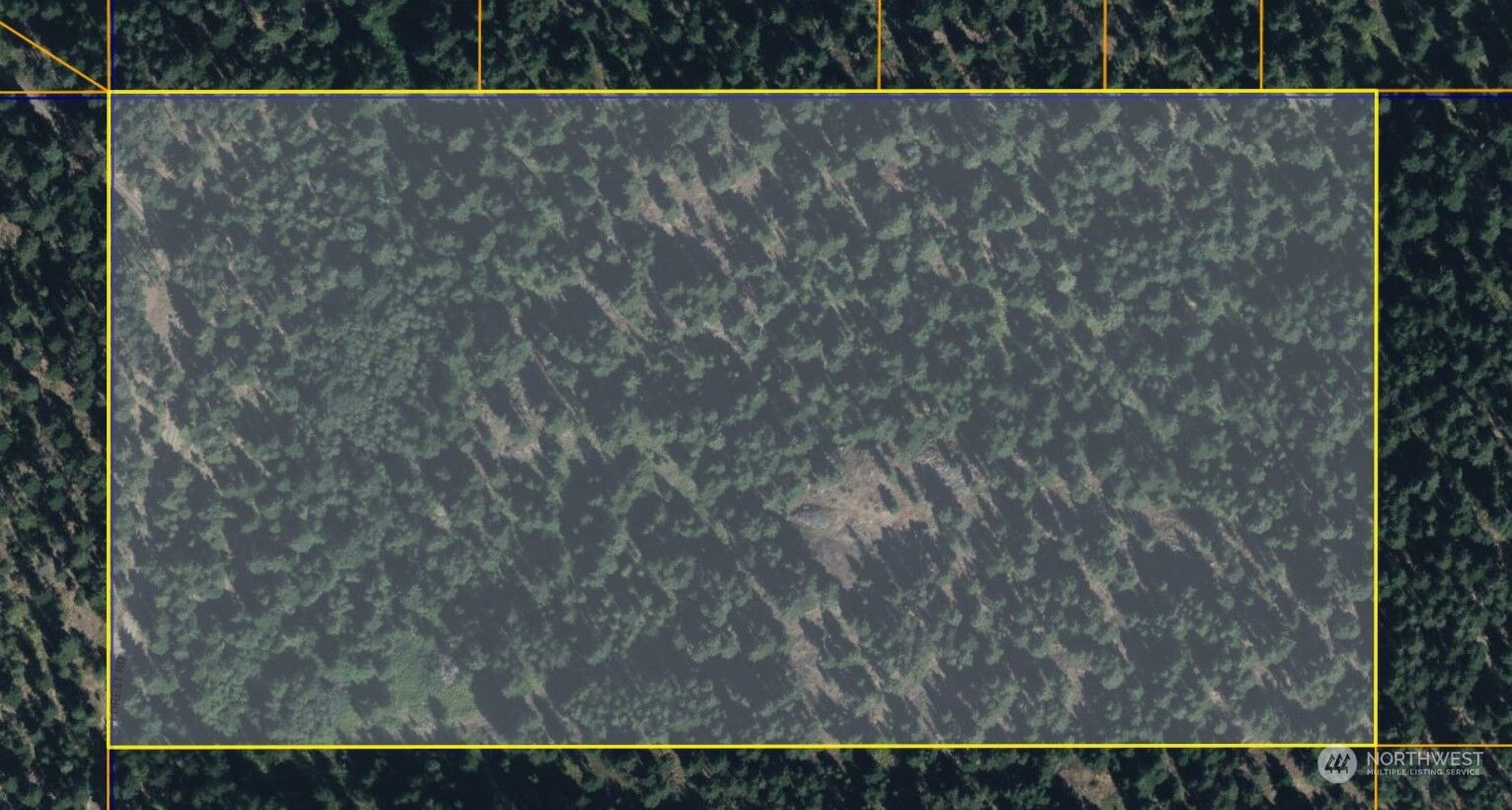 Property Photo: 1111 Tbd Forest Road WA 98844