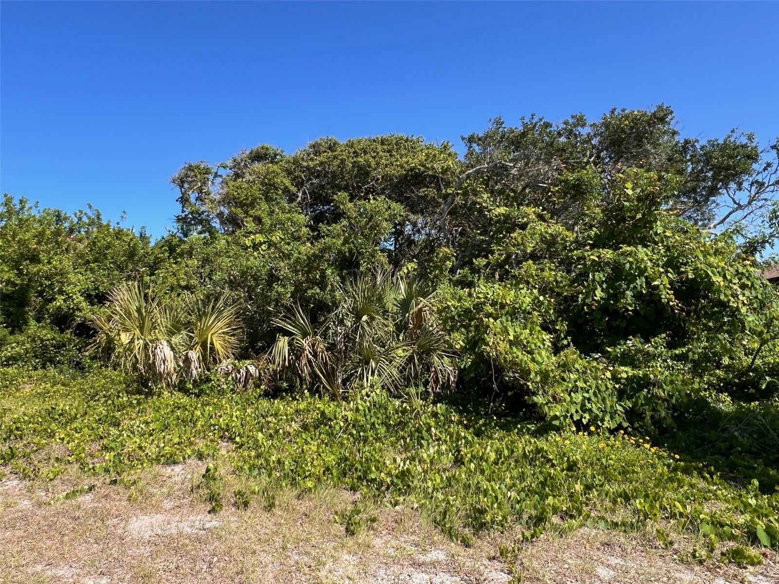 Property Photo:  17 Mar Azul N  FL 32127 