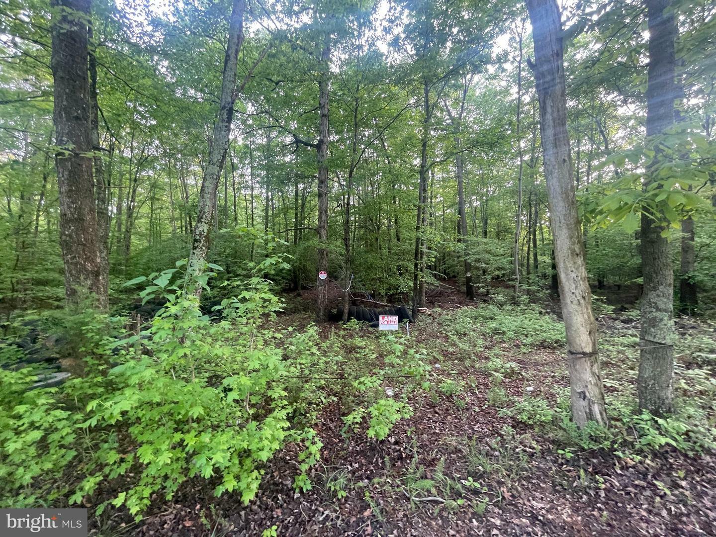 Property Photo:  0 Horsehead Road  MD 20613 