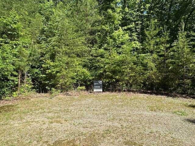 Lot 6 Marjorie Avenue  Ellijay GA 30536 photo