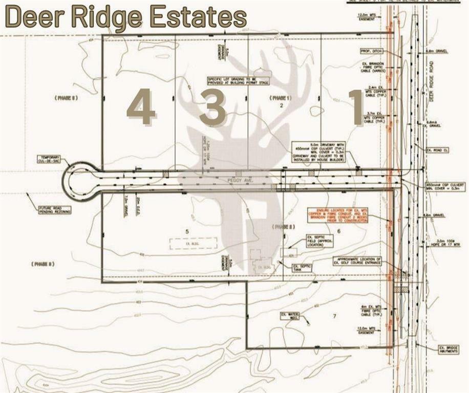 Photo de la propriété:  4 Peggy Avenue  MB R7C 1C1 