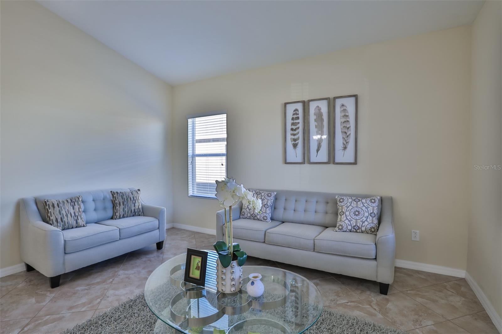 Property Photo: 609 Wabash Breeze Circle FL 33570