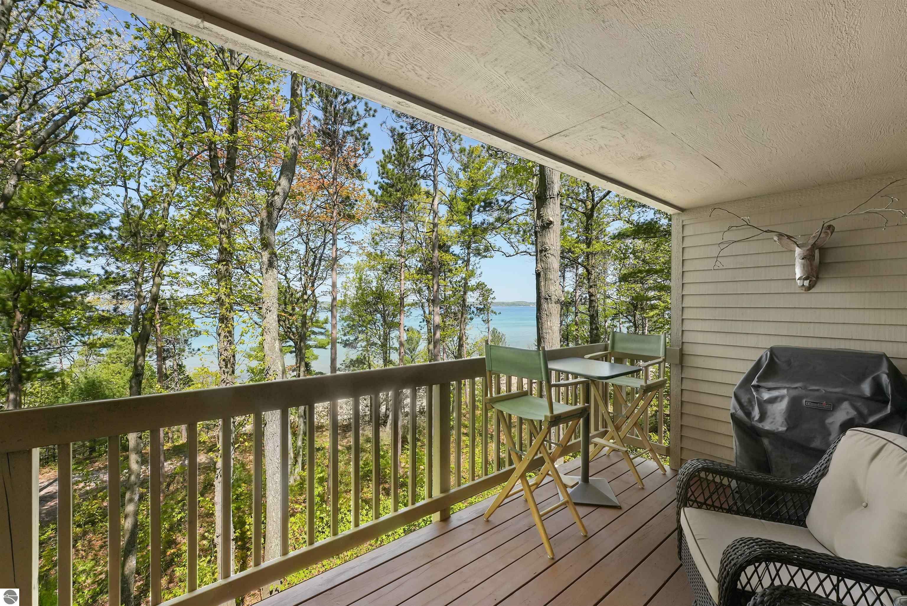 Property Photo:  7751 Clearwater Drive  MI 49690 