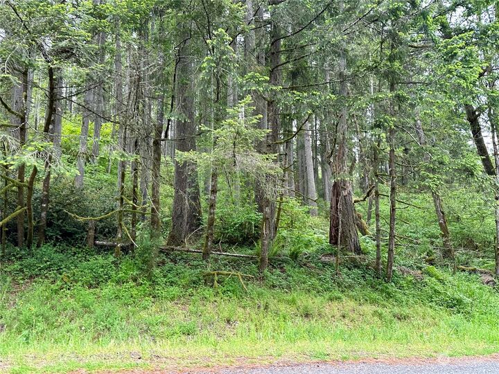 Property Photo:  12613  Camus Road  WA 98303 