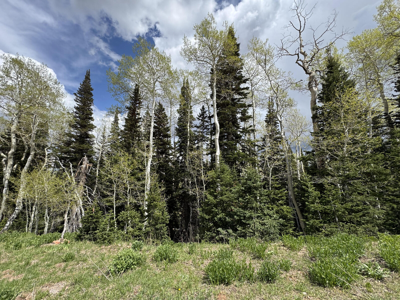 Property Photo:  695 W Hunter Ridge  UT 84719 
