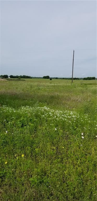 Photo de la propriété:  8 Old Brandon Road  TX 76670 