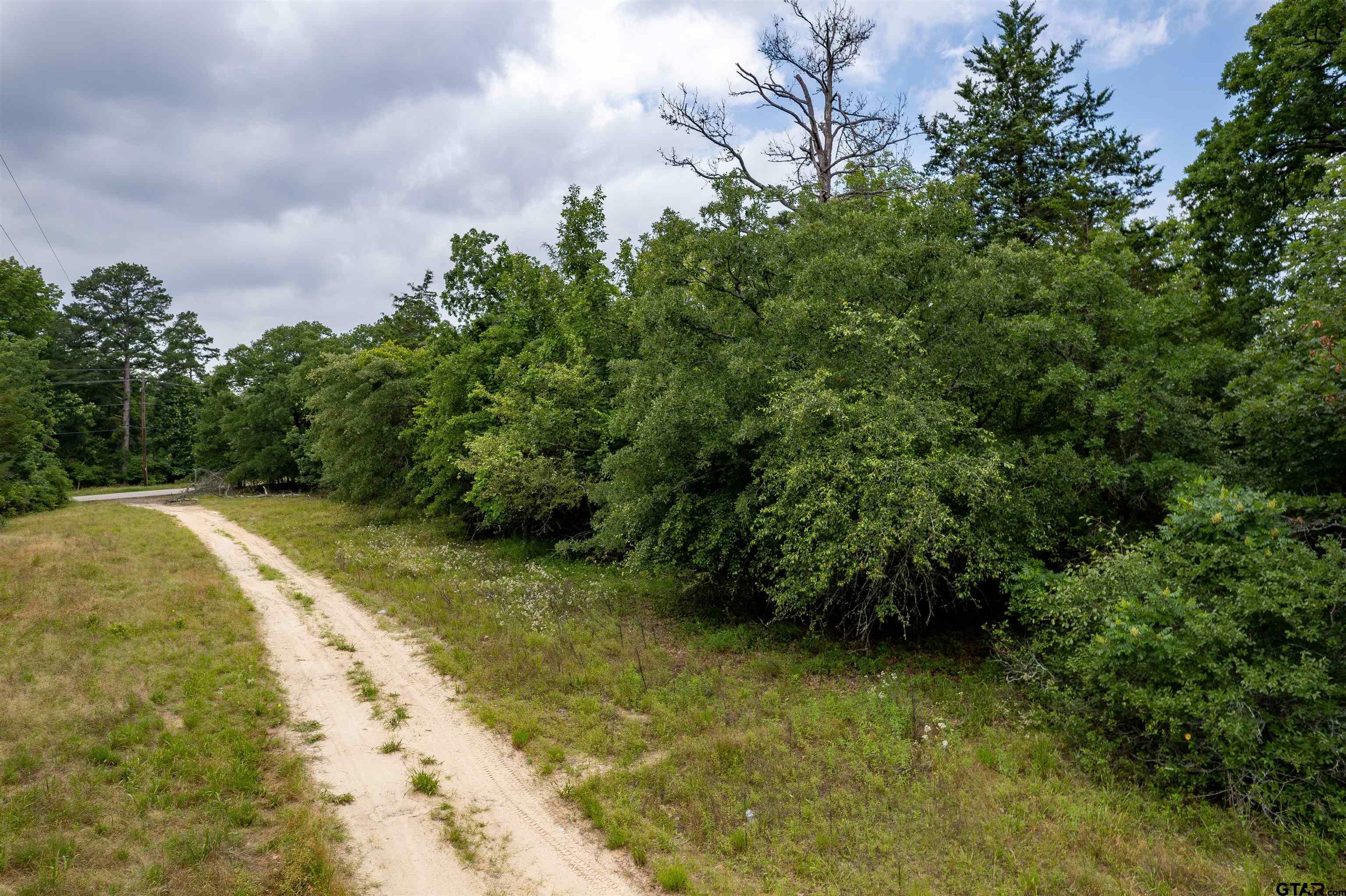 Property Photo:  Lots 2,3,47,48 Kings Country Blvd  TX 75480 