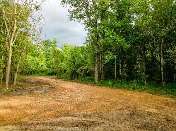 Property Photo:  Lot 18 Ancient Orchard Road  KY 40769 