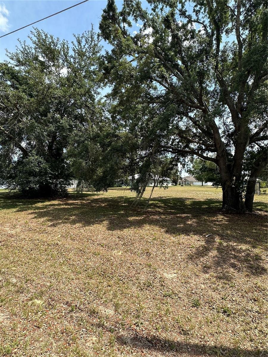 Property Photo:  Pine Track Loop  FL 34472 