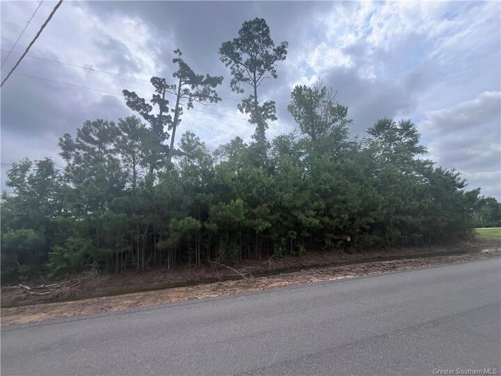 0 E Forest Road  Westlake LA 70669 photo