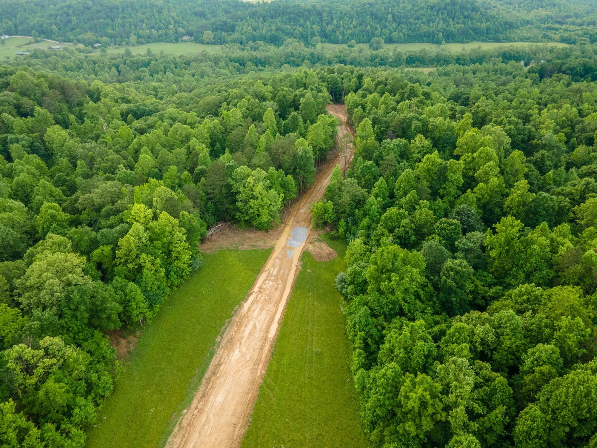 Property Photo:  Lot 158 Mt Morgan Road  KY 40769 