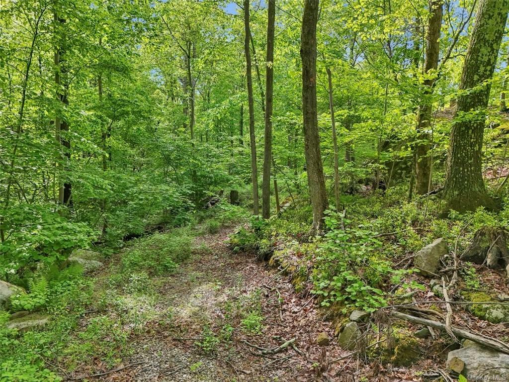 Property Photo:  South Road  NY 12531 