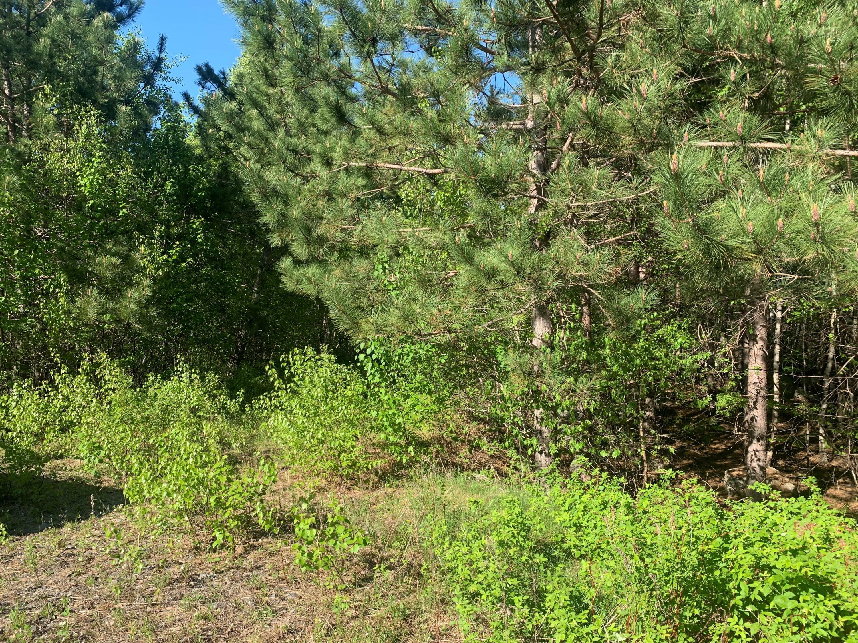 Property Photo:  Lot 24 Grand View Drive  ME 04429 